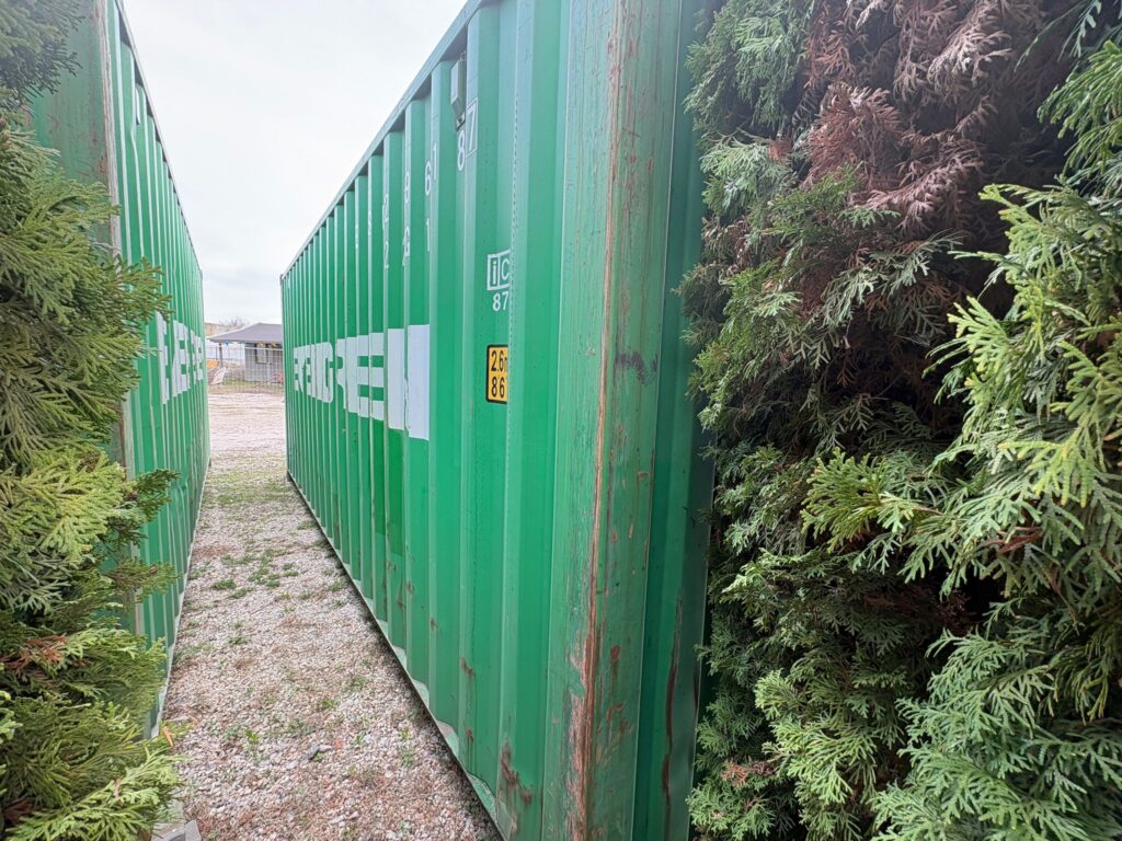 WhatsApp Image 2026-03-17 at 10.27.39 (2)